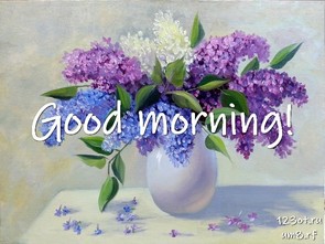 Прекрасного утра, красивая открытка, картинка с цветочками (цветы) женщине, жене скачать онлайн! скачать открытку бесплатно | 123ot