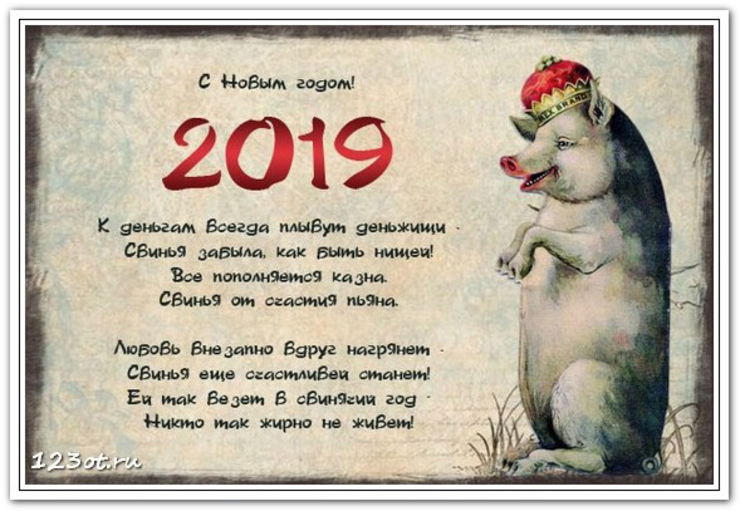 Стихи С Новым Годом Свиньи 2021 Смешные Короткие Прикольные