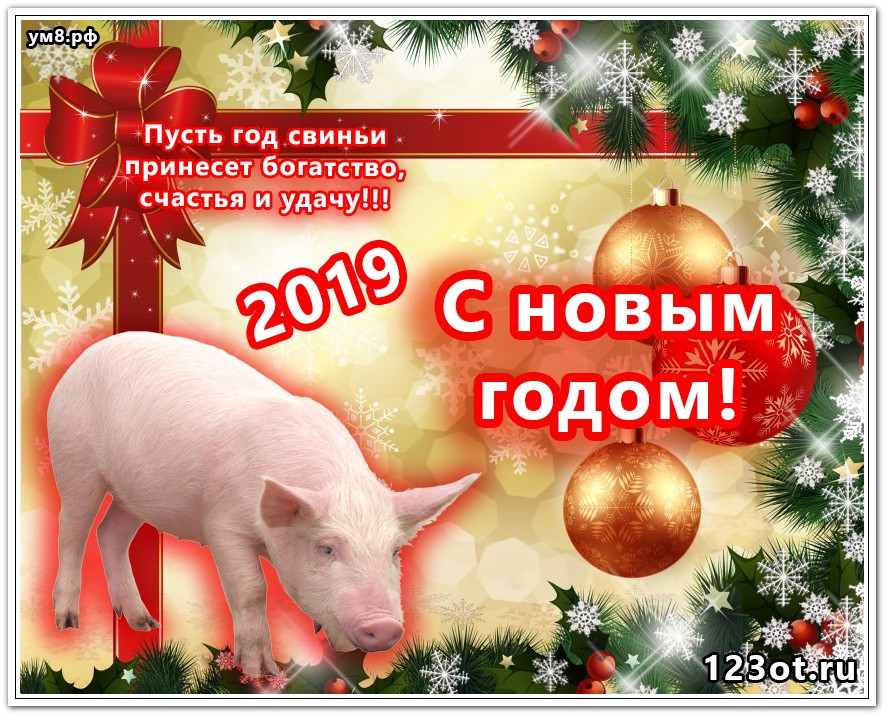 Открытки С Поздравлениями С Новым Годом Свиньи