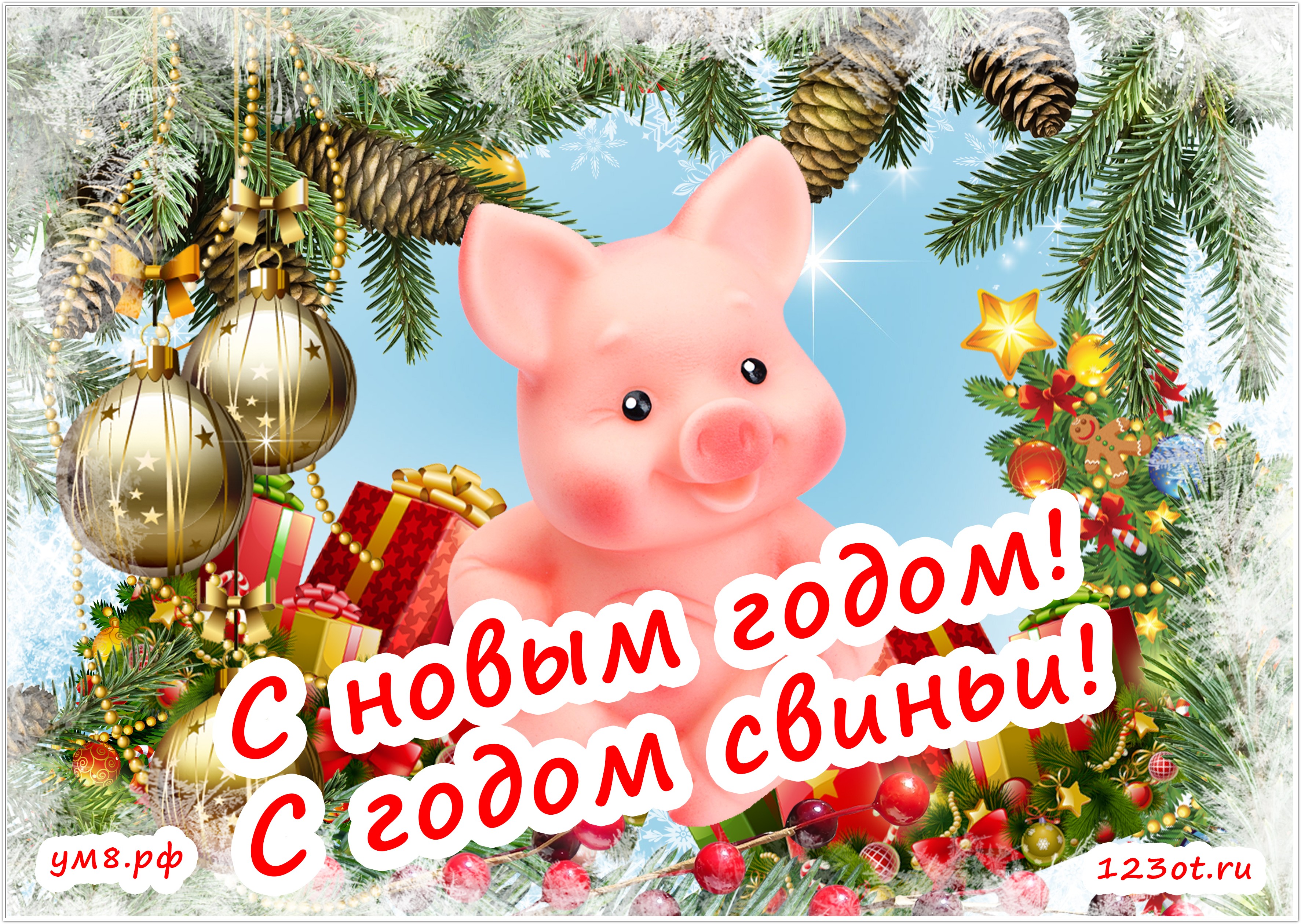 Прикольные Поздравления С Новым Годом Свиньи 2021
