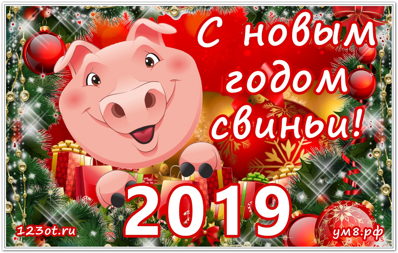 Новогоднее Поздравление Гифки С Годом Свиньи