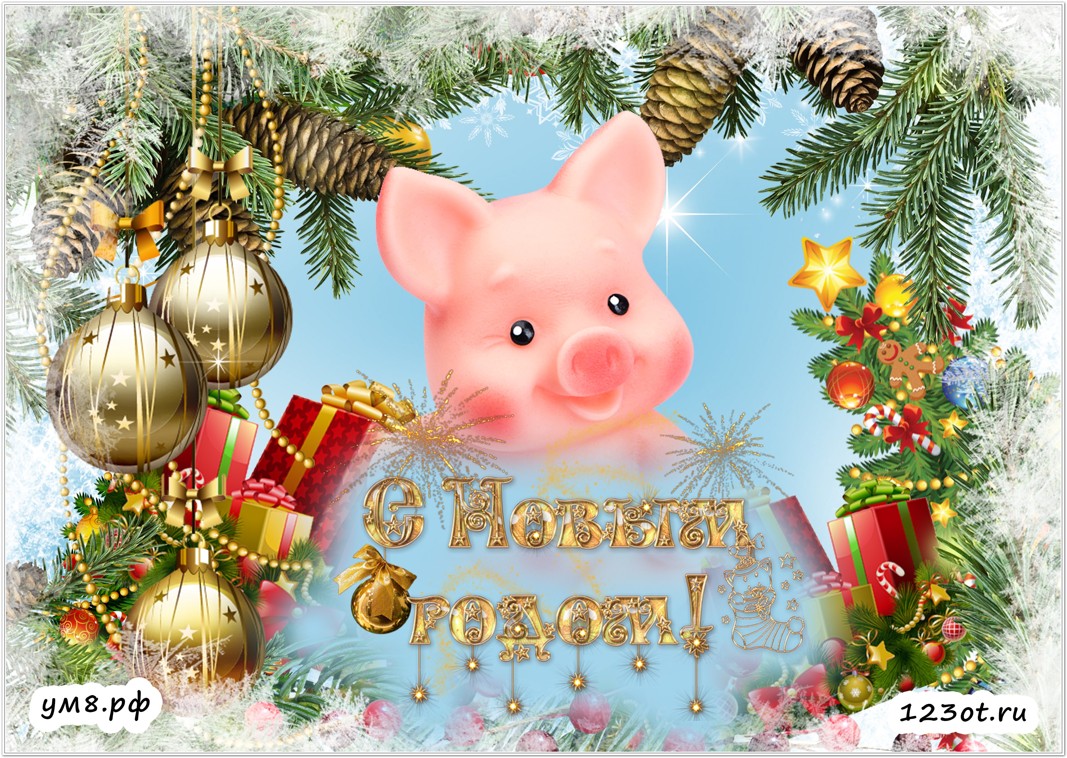 Хорошие Поздравления С Новым Годом Свиньи