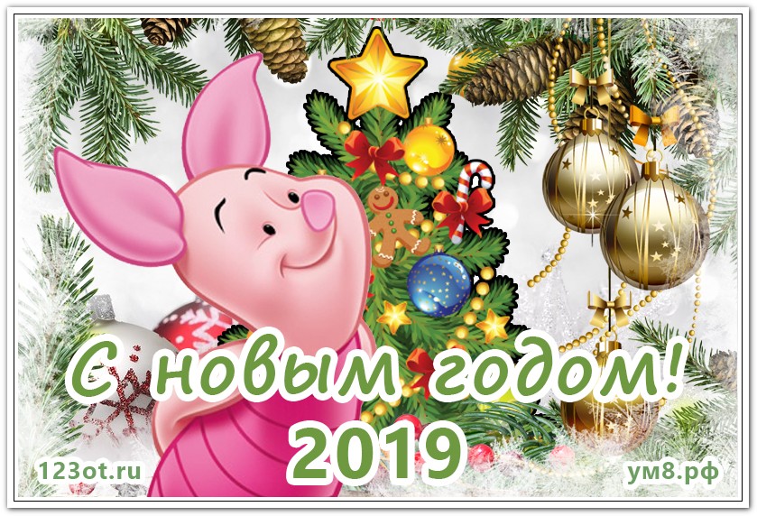 Новогоднее Поздравление Со Свинкой