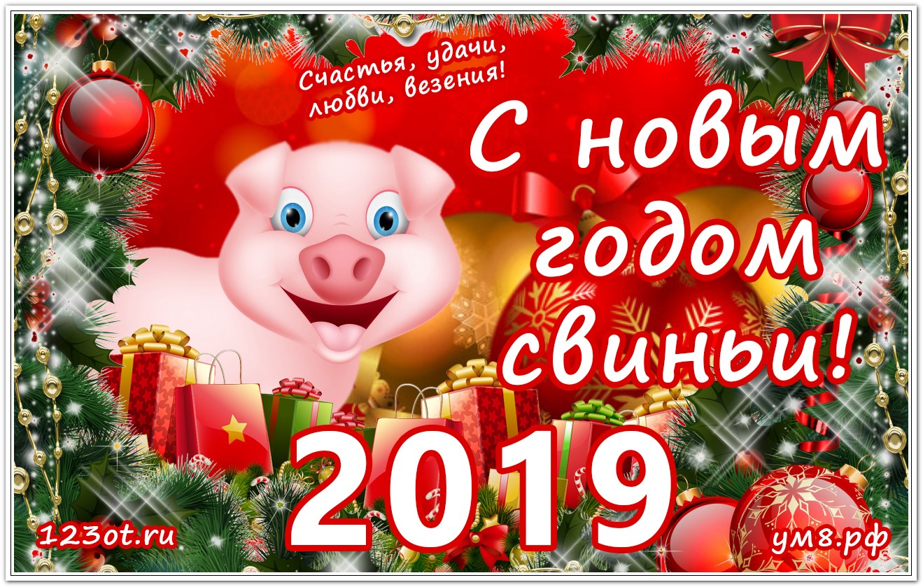 Поздравления С 2021 Годом Свиньи В Прозе