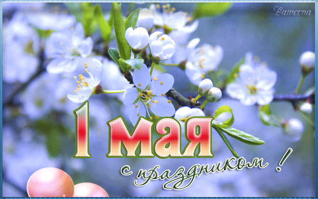 Открытка гиф, анимация на 1 мая, праздник Первомай! Воздушные шарики, цветы, яблоня в цвету! День весны и труда! Мир, труд, май! Поздравление на 1 мая! скачать открытку бесплатно | 123ot