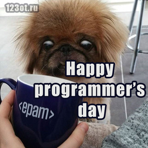 Дорогой друг! С днем программиста! Поздравляю с профессиональным праздником! Epam Systems! Happy programmers day!  скачать открытку бесплатно | 123ot