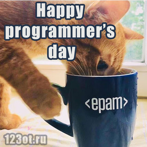 Лучшему прогеру! Красивая картинка, открытка! С днем программиста! Epam Systems! Happy programmers day!  скачать открытку бесплатно | 123ot