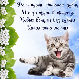 Яркая, красивая открытка с пожеланиями и стихами для любимых! Красивый котенок с пожеланием удачи. Скачать открытку для самого дорогого человека бесплатно онлайн! скачать открытку бесплатно | 123ot