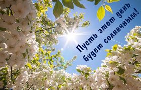 Яркая, красивая открытка с пожеланиями и стихами для любимых! Весенние деревья на фоне солнечного неба. Скачать открытку для самого дорогого человека бесплатно онлайн! скачать открытку бесплатно | 123ot