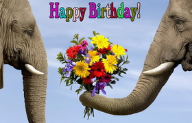 Яркая, красивая открытка с днём рождения племяннице с текстом, с пожеланием и стихом! Дорогоая племяшка, с днём рождения! Happy Birthday, слоны с красивым букетом. Скачать открытку на день рождения девушке, девочке бесплатно онлайн! скачать открытку бесплатно | 123ot
