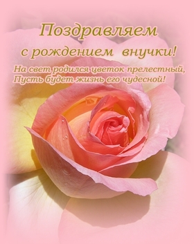 Красивая открытка с розой и поздравлением!!! Открытка поздравляем с рождением внучки! Скачать бесплатно онлайн! Роза. скачать открытку бесплатно | 123ot