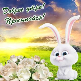 Яркая, красивая открытка с добрым утром, подруга, подружка! Открытка с весёлым кроликом и розами. Скачать бесплатно онлайн! скачать открытку бесплатно | 123ot