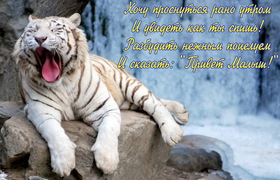 Яркая, красивая открытка с добрым утром, подруга, подружка! Зевающий тигр на фоне водопада. Скачать бесплатно онлайн! скачать открытку бесплатно | 123ot