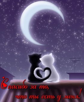 Яркая, красивая открытка для любимой, любимого! Два котика на крыше под луной. Скачать открытку на тему любовь и романтика бесплатно онлайн! скачать открытку бесплатно | 123ot