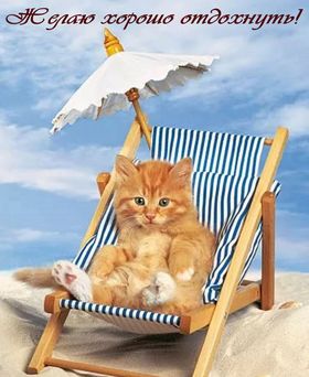 Яркая, красивая открытка на тему отпуска! Котенок в шезлонге желает хорошо отдохнуть. Скачать открытку хорошего отпуска, хорошо отдохнуть бесплатно онлайн! скачать открытку бесплатно | 123ot