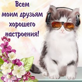 Яркая, красивая открытка хорошего настроения! Котик в очках и наушниках. Скачать открытку хорошего настроения бесплатно онлайн! скачать открытку бесплатно | 123ot