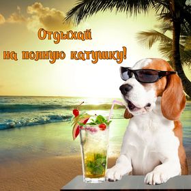Яркая, красивая открытка на тему отпуска! Собачка в очках с коктейлем у моря. Скачать открытку хорошего отпуска, хорошо отдохнуть бесплатно онлайн! скачать открытку бесплатно | 123ot