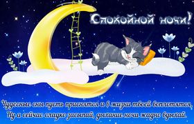 Яркая, красивая открытка спокойной ночи, сладких снов! Забавный котенок спящий на луне. Скачать открытку спокойной ночи бесплатно онлайн! скачать открытку бесплатно | 123ot