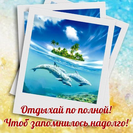 Яркая, красивая открытка на тему отпуска! Открытка с дельфинами на фоне острова. Скачать открытку хорошего отпуска, хорошо отдохнуть бесплатно онлайн! скачать открытку бесплатно | 123ot