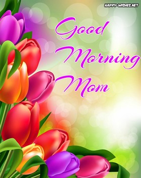 Яркие тюльпаны! Доброе утречко, мамуля, картинки доброе утро мама, с добрым утром мама, доброе утро мама картинки, доброе утро мама картинки красивые, скачать картинки с добрым утром мама! скачать открытку бесплатно | 123ot