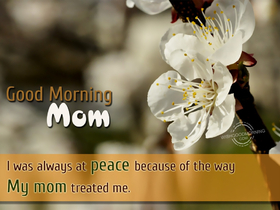 Белые цветочки! Доброе утречко, мамуля, картинки доброе утро мама, с добрым утром мама, доброе утро мама картинки, доброе утро мама картинки красивые, скачать картинки с добрым утром мама! скачать открытку бесплатно | 123ot