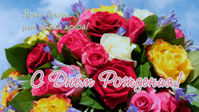 Красивый букет цветных роз! Красивые открытки с днём рождения женщине для вацап, whatsapp! Скачать бесплатно онлайн! скачать открытку бесплатно | 123ot