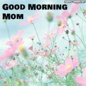 Нежность утра для лучшей мамы! Доброе утречко, мамуля, картинки доброе утро мама, с добрым утром мама, доброе утро мама картинки, доброе утро мама картинки красивые, скачать картинки с добрым утром мама! скачать открытку бесплатно | 123ot