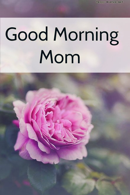 Красивая открытка маме! Доброе утречко, мамуля, картинки доброе утро мама, с добрым утром мама, доброе утро мама картинки, доброе утро мама картинки красивые, скачать картинки с добрым утром мама! скачать открытку бесплатно | 123ot