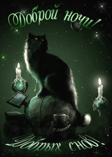 Черная кошка! Анимации с пожеланием спокойной ночи, пожелания спокойной ночи гифы! Оригинальные пожелания спокойной ночи, анимация! скачать открытку бесплатно | 123ot