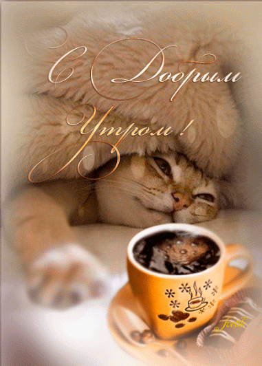 Кофе для Тебя... Гифки с добрым утром любовь моя, гифки страстные с добрым утром! скачать открытку бесплатно | 123ot