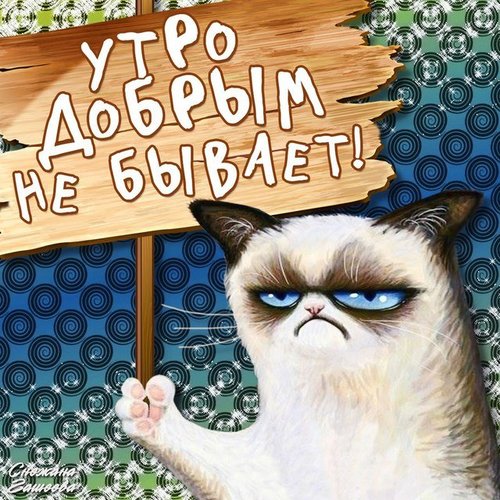 Художественная открытка, картинка мужчине, коллеге доброе утро! скачать открытку бесплатно | 123ot