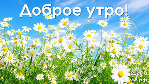 Доброе утро, красивая картинка, фотография с цветочками (цветы) женщине, жене скачать онлайн! скачать открытку бесплатно | 123ot