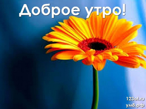 Доброго утречка, красивая картинка, фотография с цветочками (цветы) для девушки, женщины скачать! скачать открытку бесплатно | 123ot