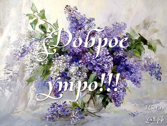 Доброго утречка, красивая открытка, картинка с цветочками (цветы) девушке, женщине отправить на вацап! скачать открытку бесплатно | 123ot