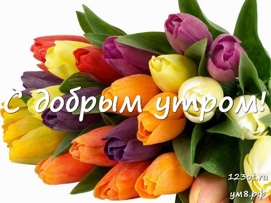 Доброго утречка, красивая открытка, картинка с цветочками (цветы) женщине, жене скачать онлайн! скачать открытку бесплатно | 123ot