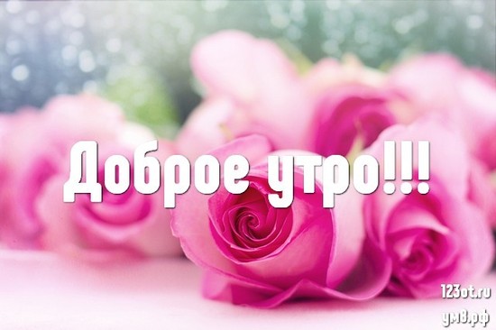 Прекрасного утра, красивая картинка, фотография с цветочками (цветы) женщине, жене скачать онлайн! скачать открытку бесплатно | 123ot