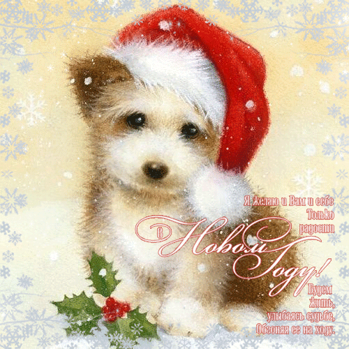 Новогодние, движущиеся, живые открытки, картинки с красивыми пожеланиями на новый 2019 год! Новогоднего, мандаринового настроения всем! Пусть дед мороз и снегурочка подарят Вам счастье! (Поздравление, ммс, смс, отправить открытку на whatsApp онлайн!) скачать открытку бесплатно | 123ot