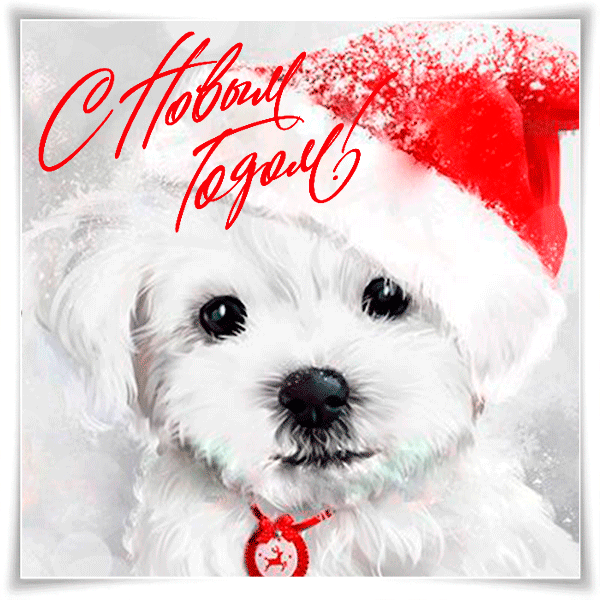Новогодние, движущиеся, живые открытки, картинки с красивыми пожеланиями на новый 2019 год! Новогоднего, мандаринового настроения всем! Пусть дед мороз и снегурочка подарят Вам счастье! (Красивое поздравление на whatsApp, отправить открытку на whatsApp онлайн!) скачать открытку бесплатно | 123ot