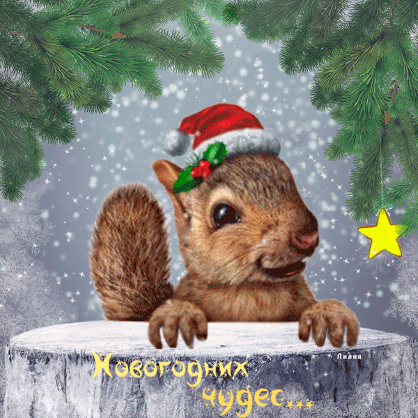 Поздравительные открытки, картинки, анимашки, гифки, анимации с новым 2019 годом! Новогоднего, мандаринового настроения всем! Пусть дед мороз и снегурочка подарят Вам счастье! (Поздравление на вацап, поделиться картинкой в соц. сетях!) скачать открытку бесплатно | 123ot