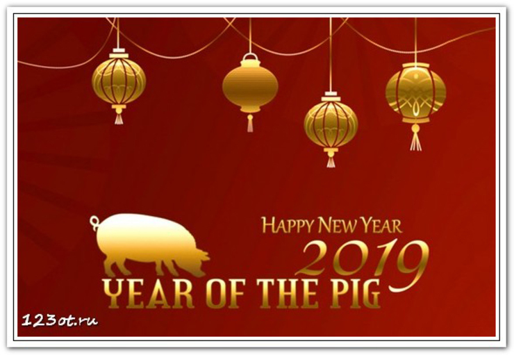 Новые живые открытки, картинки с новым годом свиньи 2019! Год кабана! Свиньи, поросята, маленькие свинки! Открытка со свиньей, свинкой, поросенком! Красивое поздравление в стихах и прозе! (Поздравление на вацап, вайбер, телеграм! Скачать открытку онлайн для вк, одноклассники, фейсбук!) скачать открытку бесплатно | 123ot