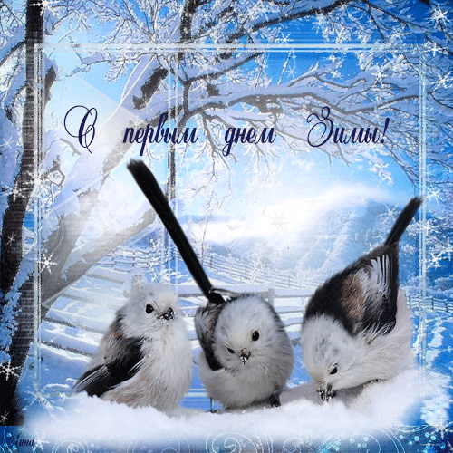 Красивая открытка с первым днем зимы. Открытки  Красивая открытка с первым днем зимы Птички скачать бесплатно онлайн скачать открытку бесплатно | 123ot
