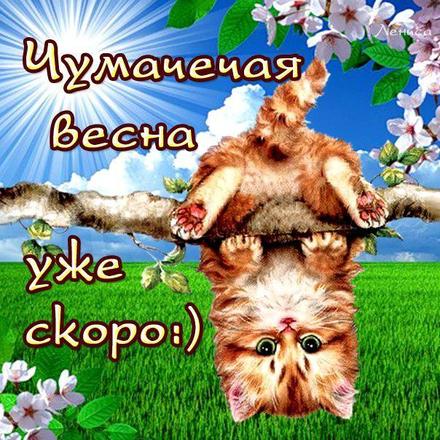 Открытка, картинка, первый день весны, первое марта, котенок. Открытки  Открытка, картинка, первый день весны, открытка с первым днем весны, поздравление с первым днем весны, начало весны скачать бесплатно онлайн скачать открытку бесплатно | 123ot