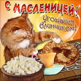 Открытка, картинка, Масленица, русская традиция, поздравление, русская традиция, блины, мед, творог. Открытки  Открытка, картинка, Масленица, русская традиция, поздравление, русская традиция, блины, мед, творог, угощение, котик скачать бесплатно онлайн скачать открытку бесплатно | 123ot