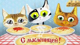 Открытка, картинка, Масленица, русская традиция, поздравление, коты. Открытки  Открытка, картинка, Масленица, русская традиция, поздравление, коты, блины, сметана скачать бесплатно онлайн скачать открытку бесплатно | 123ot