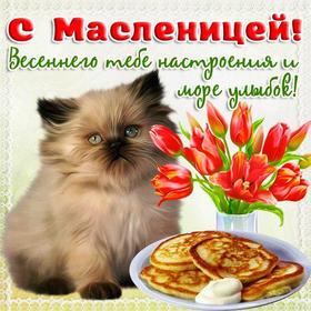 Открытка, картинка, Масленица, русская традиция, поздравление, русская традиция, блины, котенок. Открытки  Открытка, картинка, Масленица, русская традиция, поздравление, русская традиция, блины, котенок, цветы, тюльпаны, весна скачать бесплатно онлайн скачать открытку бесплатно | 123ot
