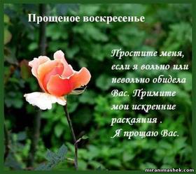 Открытка, картинка, Прощенное Воскресенье, русская традиция, стихи, роза. Открытки  Открытка, картинка, Прощенное Воскресенье, русская традиция, стихи, роза, сад скачать бесплатно онлайн скачать открытку бесплатно | 123ot