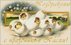 Открытка, ретро, Пасха, поздравление, русская традиция, православный праздник, яйца. Открытки  Открытка, ретро, Пасха, поздравление, русская традиция, православный праздник, яйца, цыплята, скорлупа скачать бесплатно онлайн скачать открытку бесплатно | 123ot