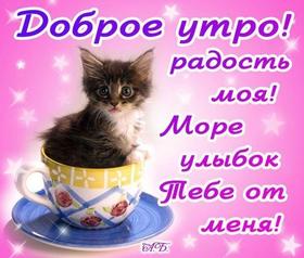 Открытка с добрым утром! Кот в чашке вместо кофе)) скачать открытку бесплатно | 123ot