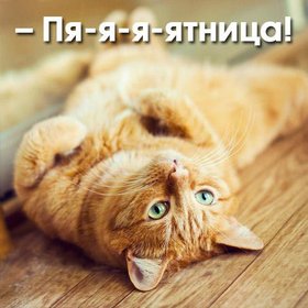 Открытка с котом на тему Ура, пятница. скачать открытку бесплатно | 123ot