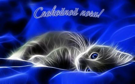 Открытка Спокойной ночи Кот Синие глаза скачать открытку бесплатно | 123ot